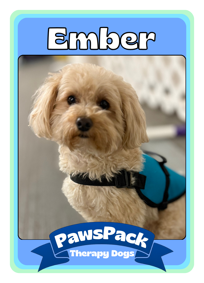 Ember Front