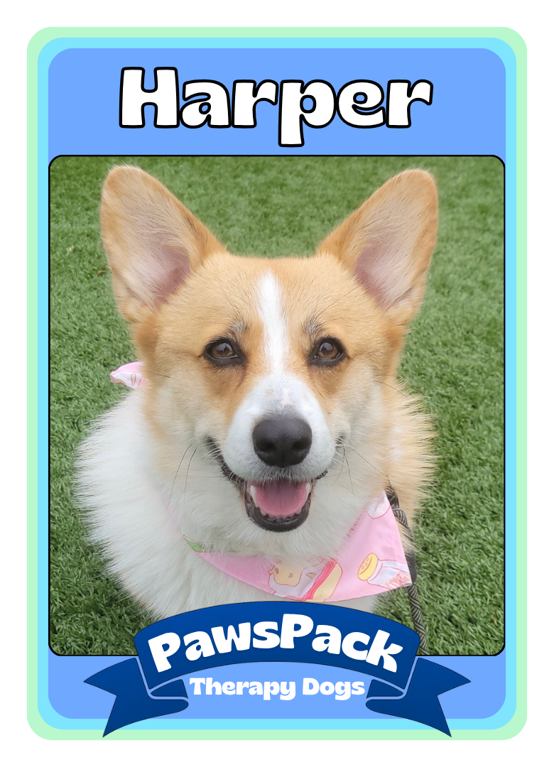 Harper Front