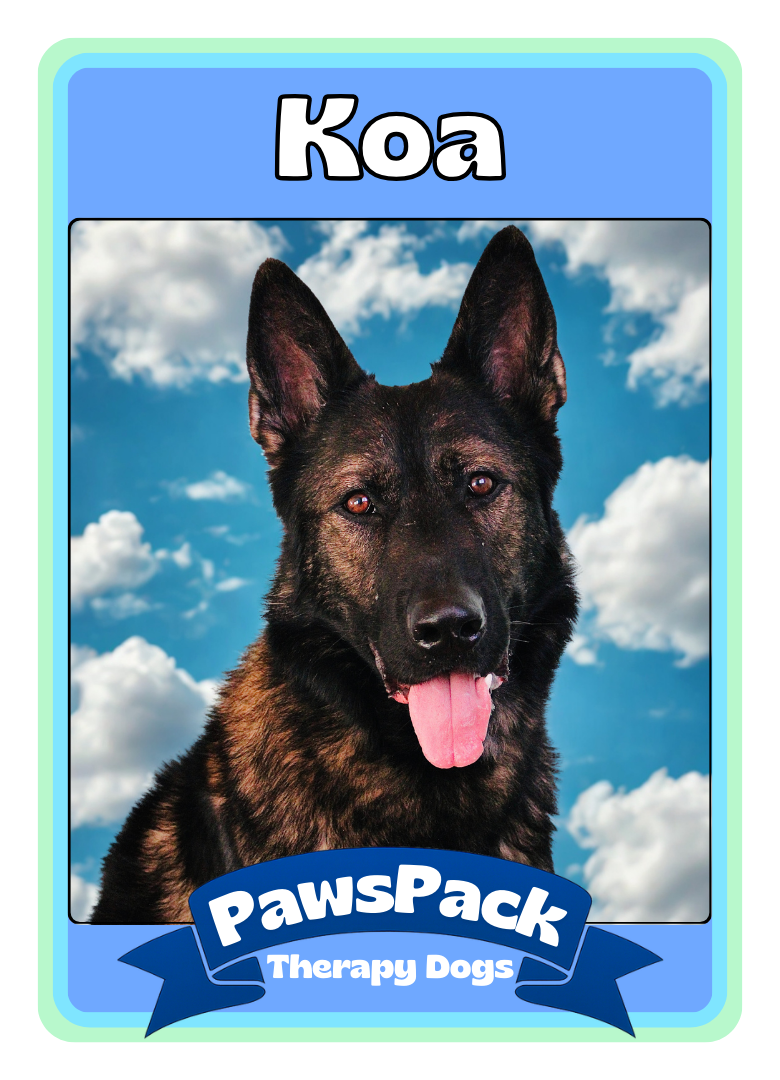 Koa Front