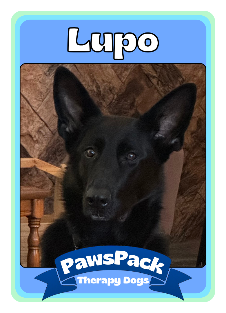 Lupo Front