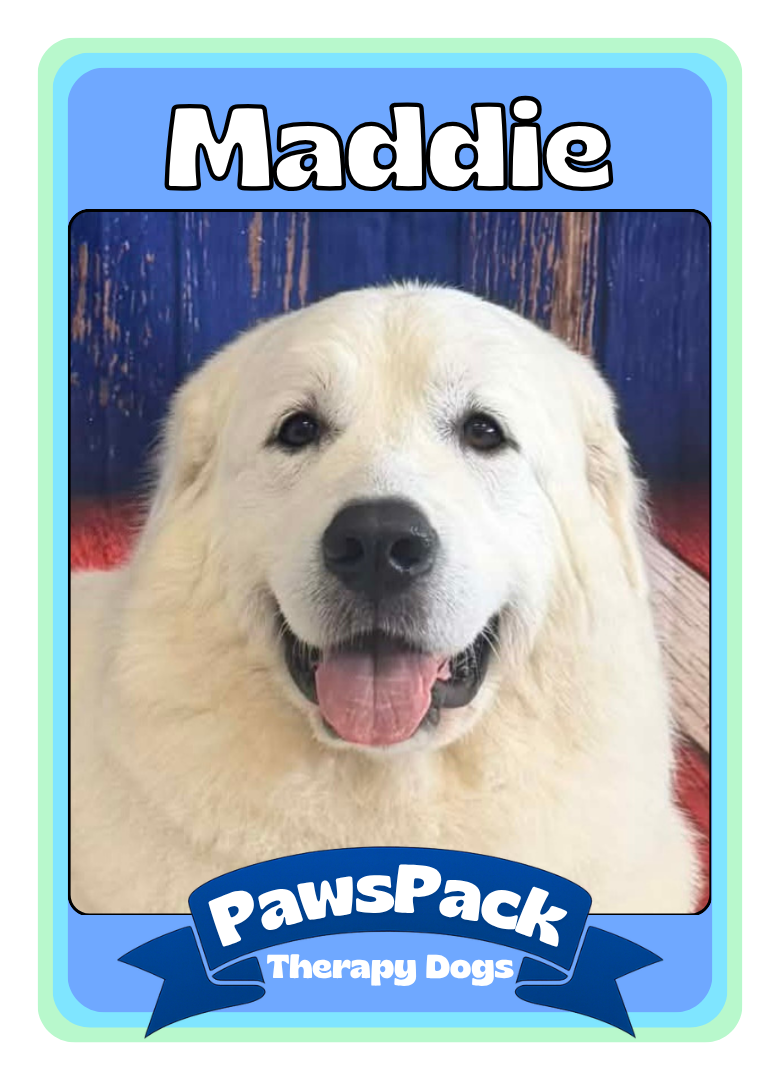 Maddie Front