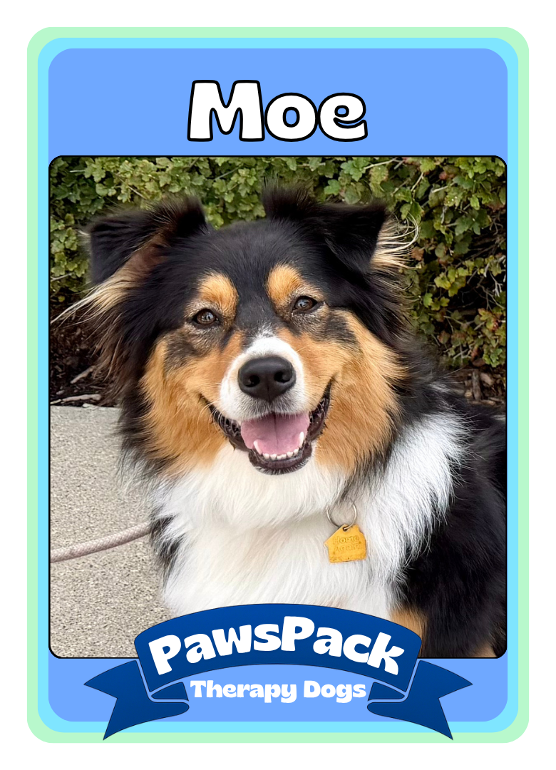 Moe - Front