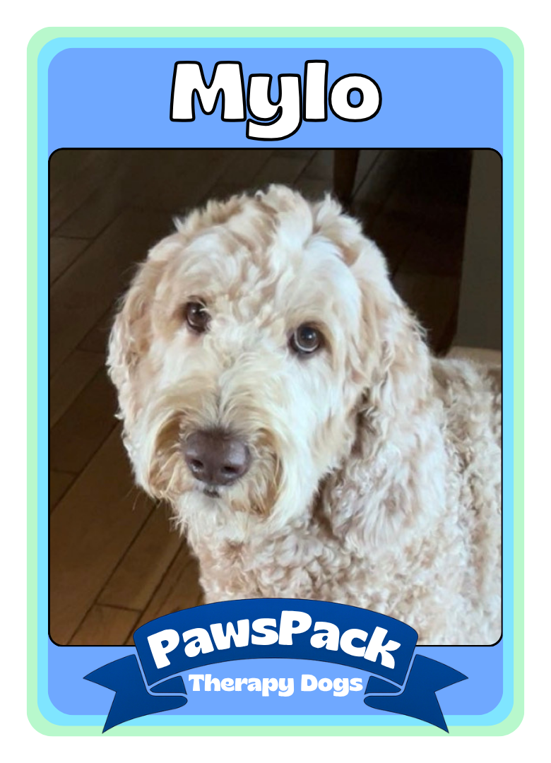 Mylo Front