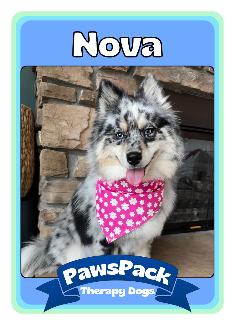 Nova Front