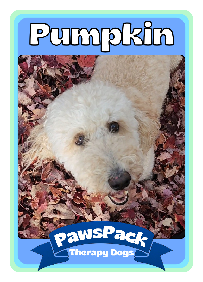 Pumpkin Front