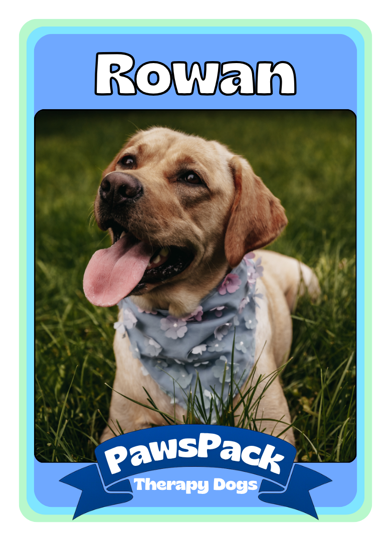 Rowan Front
