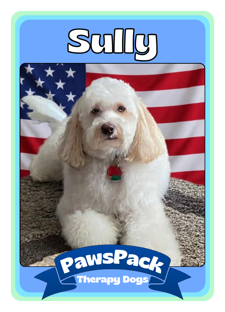 Sully Front