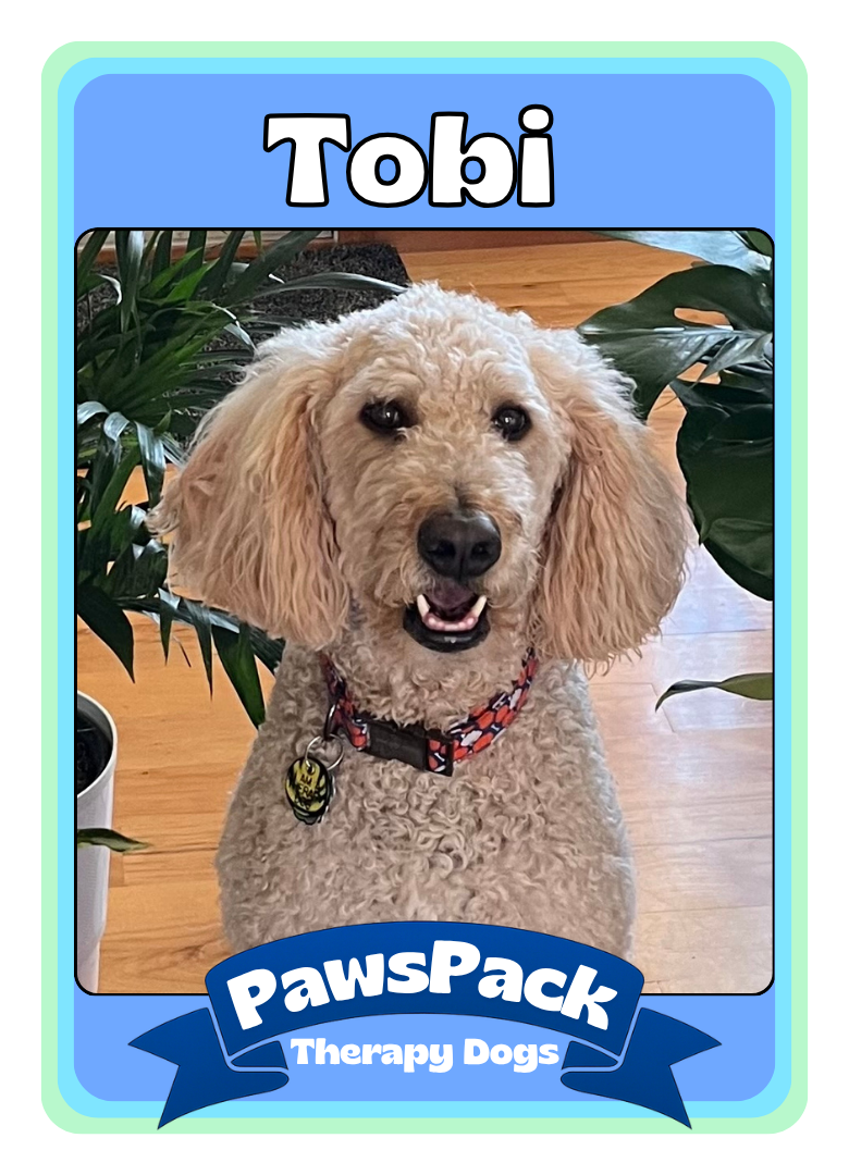 Tobi Front